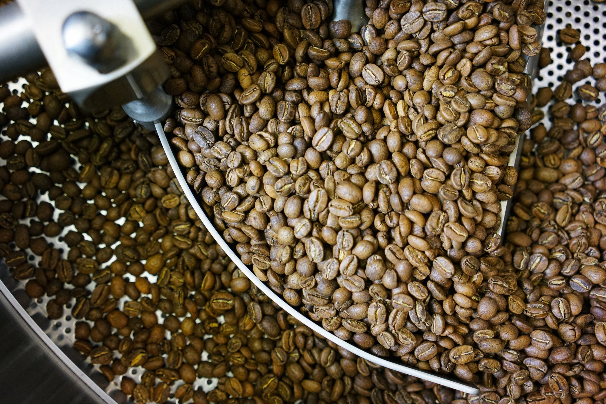 Is Curious Coffee sustainable and organic?